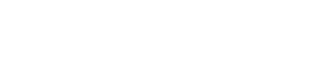 logo sindu